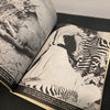 Rifleman in Africa Wallace Taber Signed 1953 First Edition